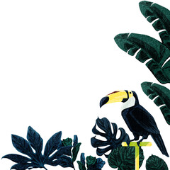 オオハシのトロピカルフレームイラスト © Ko hamari