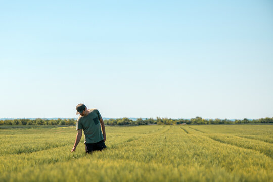 Barley crops development control, farm worker examining plants in cultivated agricultural field on sunny springtime day