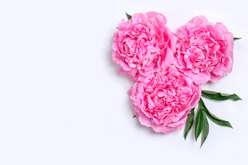 Composition with delicate peony flowers on a white background. Greetind card mockup