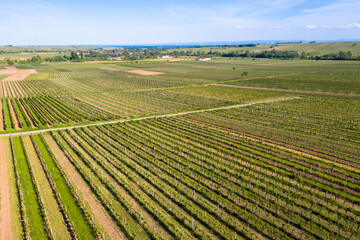 Aerial view from nature reserve the little Kalmit. Is located in the east of the Palatinate Forest near the wine and holiday resort of Ilbesheim. German Wine Road, Vineyard Palatinate region.