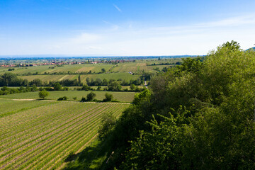 Fototapeta na wymiar Aerial view from nature reserve the little Kalmit. Is located in the east of the Palatinate Forest near the wine and holiday resort of Ilbesheim. German Wine Road, Vineyard Palatinate region.