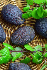 Avocados on a wicker base, decorative natural plant. Zenith view and close up.