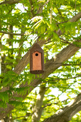 Birdhouse, birdhouse hanging on a tree in the park, made by hand.Close-up with space for text. The concept of the environment, nature conservation, care for birds. High quality photo