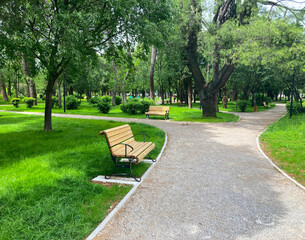 A rocky road that runs along a beautiful and green park. Along the road there are wooden benches for rest. The park has a lot of fresh, green grass and trees that provide shade for relaxation.