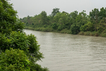 view of dense forest and sharda or sarda river flowing in pilibhit tiger reserve national park bifurcation india asia