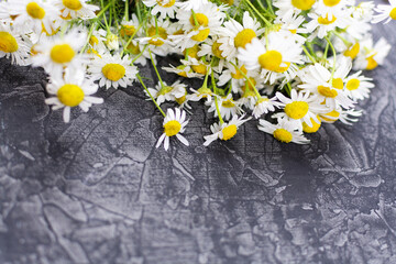A bouquet of flowers of chamomile medicinal (pharmacy) field on a black (dark) background. Space for the text. Medicinal herb Matricaria, herbal medicine.