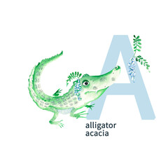 Letter A, alligator, acacia, cute kids colorful animals and flowers ABC alphabet. Watercolor illustration isolated on white background.