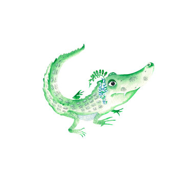 Adorable baby crocodile isolated on white background. Watercolor hand drawn illustration.