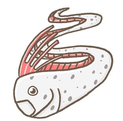 R:もっとメルヘンな水族館☆深海魚　リュウグウノツカイ②