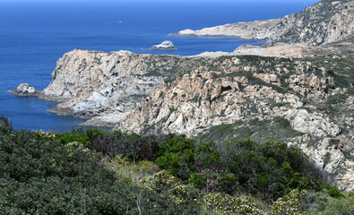 corse
