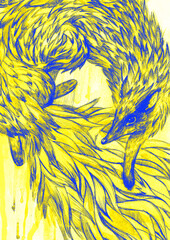 yellow blue watercolors Hand drawn fox in Watercolor - 508211760