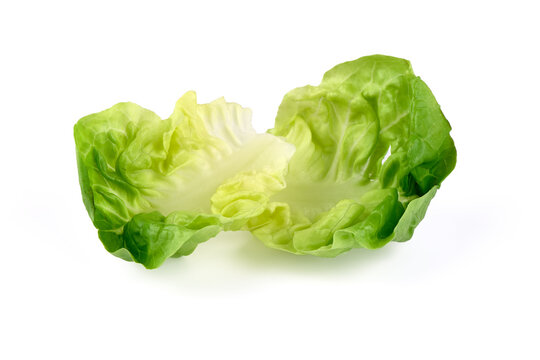 Fresh butter lettuce, isolated on white background.
