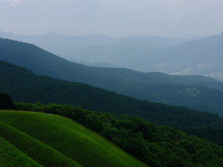 Fototapeta premium 高原の景色