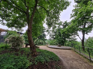 Fototapeta premium Park in pirna