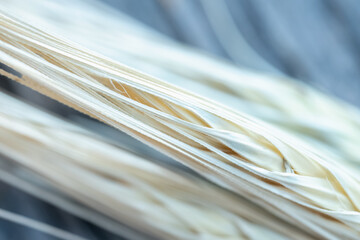 Close up ears of wheat. Rich harvest concept.