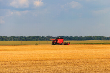 Combine harvester working on a wheat field. Harvesting the wheat. Agriculture concept