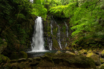 熊本県　白糸の滝
