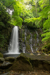 Fototapeta na wymiar 熊本県　白糸の滝