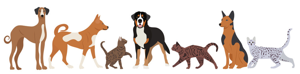 dogs and cats in flat design isolated, vector