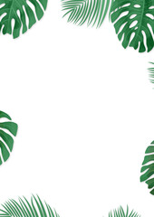 Green, tropical leaves background. Exotic leaves border.