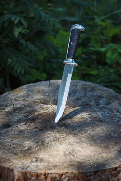 Hunting knife stuck in a stump on a background of greenery