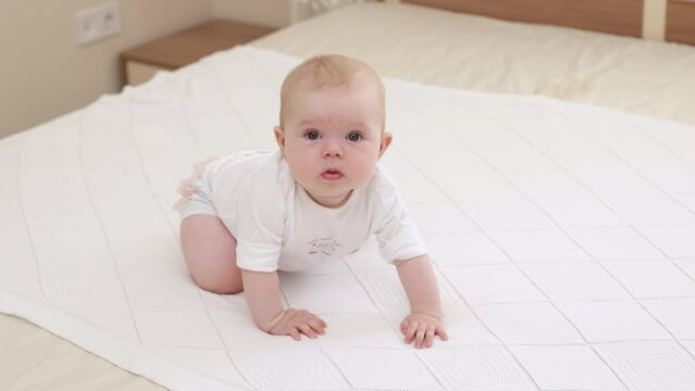 Curious adorable little baby girl crawling and learning for the first time on white home background