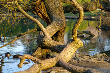 Sempione park in Milan at March