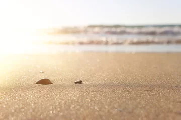Foto op Plexiglas Zeegolven en warm zonsonderganglicht, rustig en ontspannend zandstrand © tomertu