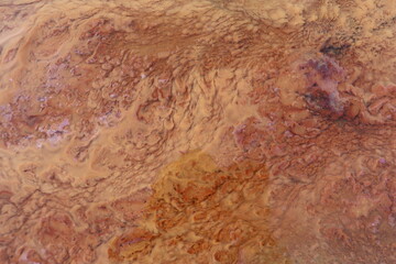 orange precipitate which indicates the water contains iron. form a beautiful background.