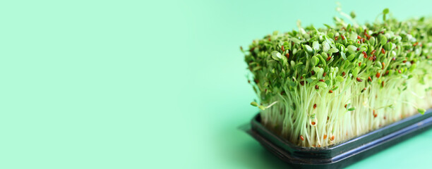 Heap of alfalfa sprouts over green background. Organic food and macrobiotic concept