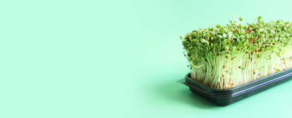 Heap of alfalfa sprouts over green background. Organic food and macrobiotic concept - obrazy, fototapety, plakaty