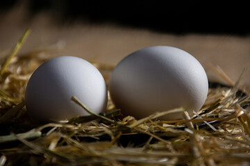 Mother will prepare bakery products for her children