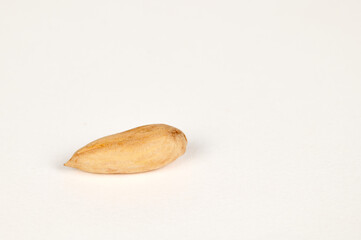 Single Wild Papershell Almond on a white background