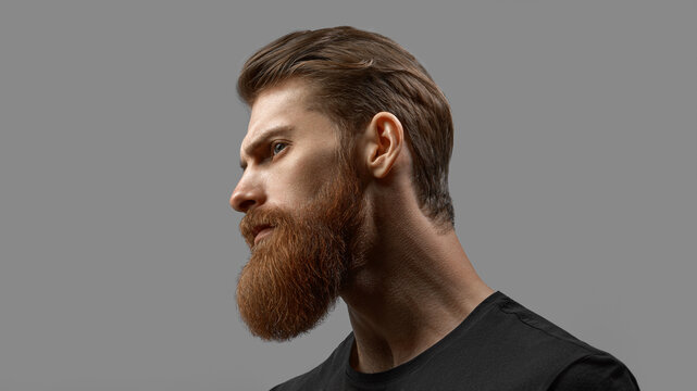 Young bearded man close-up portrait in profile. Excellent beard and hairstyle. Male model close up on a gray background.