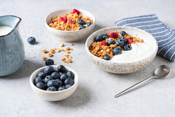 Granola yogurt bowl with blueberries and dried raspberries on grey concrete table background, closeup view
