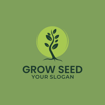 plant grow up logo design symbol vector
