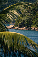 MURIQUI MANGARATIBA RIO DE JANEIRO COSTA VERDE 