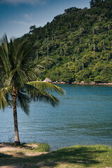 MURIQUI MANGARATIBA RIO DE JANEIRO COSTA VERDE 