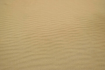 Fototapeta na wymiar Wavy desert sand texture background. Yellow fine beach sand. Texture background of golden sand, summer sun holiday concept. The texture of the beach sand as background.