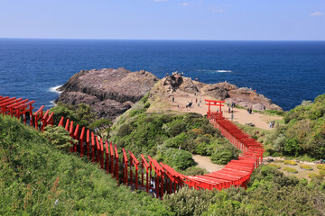 美しい赤色の鳥居と青い水平線が素晴らしい元乃隅神社　山口県長門市