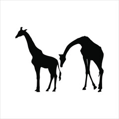 A Pair of Giraffe Silhouette for Logo or Graphic Design Element. Vector Illustration