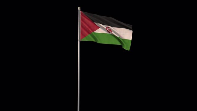 Western Sahara flag, 4k video background is transparent