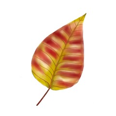 Watercolour leaf illustration, autumn decorations. Leaves isolated on white background 