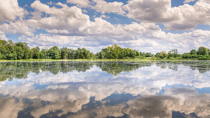 Fototapeta premium Nuages et leur reflet sur un étang