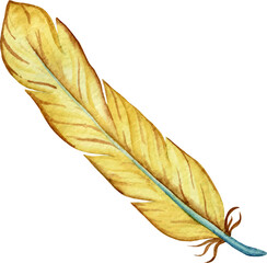 Fototapeta na wymiar Watercolor feather vector illustration