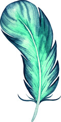 Watercolor feather vector illustration