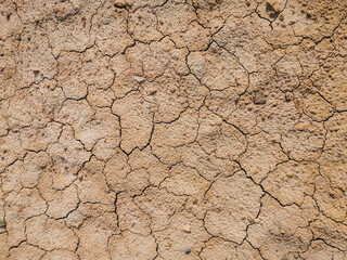 Efectos del cambio climático.