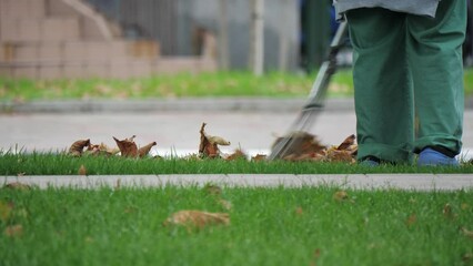 Janitor removes dry leaves from lawn with metal garden rake. Faceless city street cleaner sweeps fallen withered foliage on grass near road. Back view. Cleaning territory by yard-keeper, sweeper