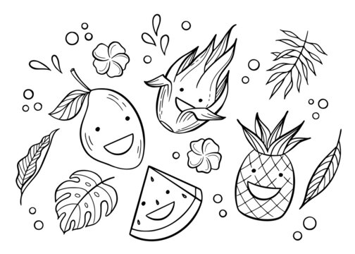 Cute outline illustrations of tropical fruits, flowers, and leaves.