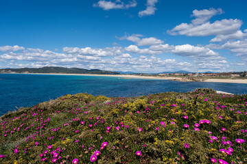 Springtime coastal landscape in Galicia